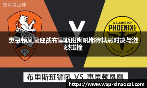 惠灵顿凤凰迎战布里斯班狮吼期待精彩对决与激烈碰撞